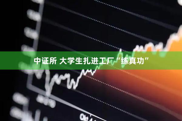中证所 大学生扎进工厂“练真功”
